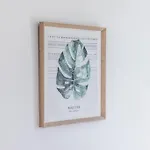 Marlavida - - Vt-488817-a Denia